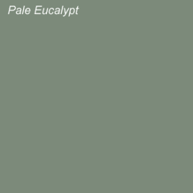 pale-eucalypt